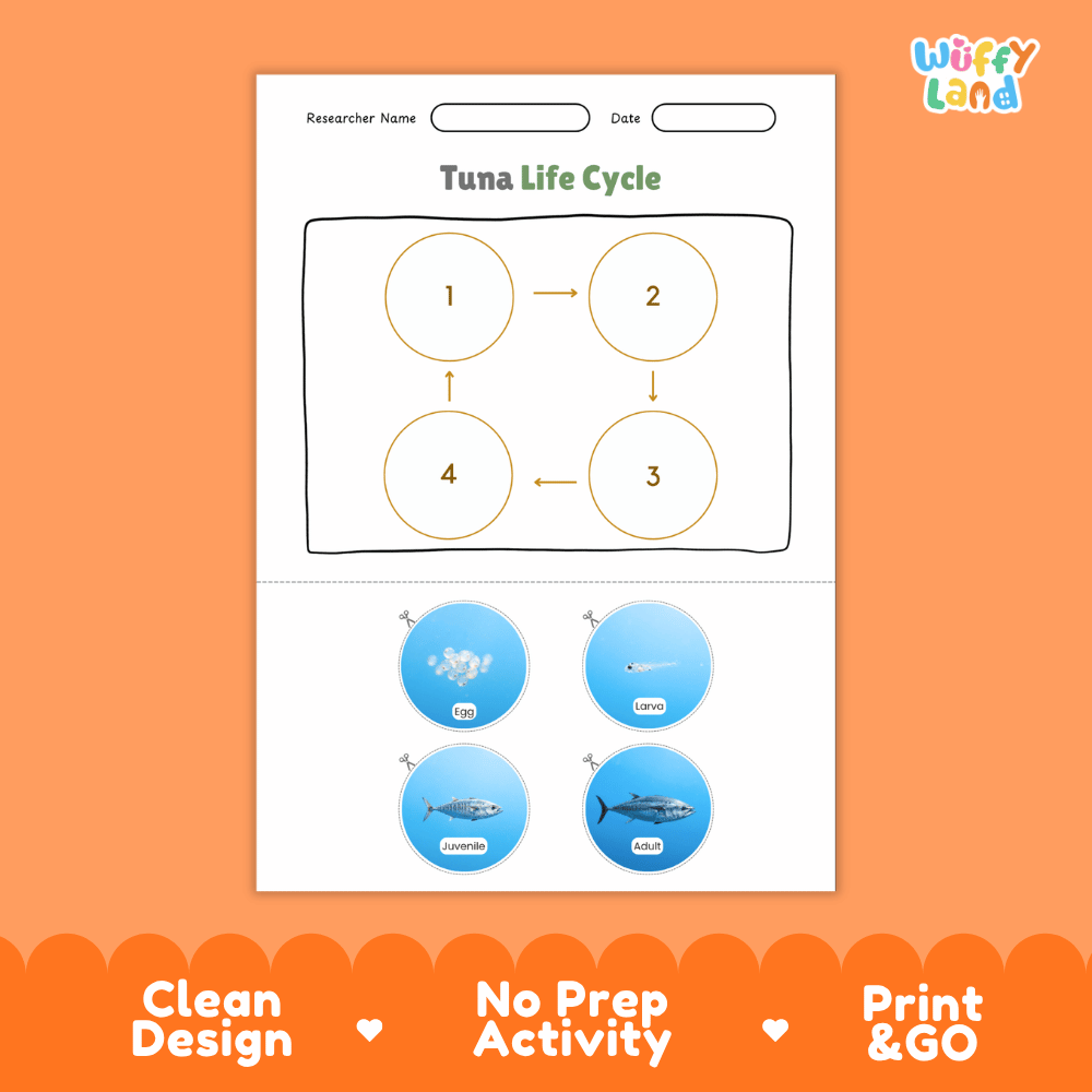 Tuna Life Cycle Poster and Cut and Paste Activity Worksheet
