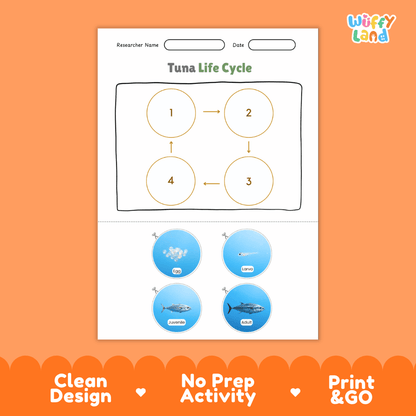 Tuna Life Cycle Poster and Cut and Paste Activity Worksheet