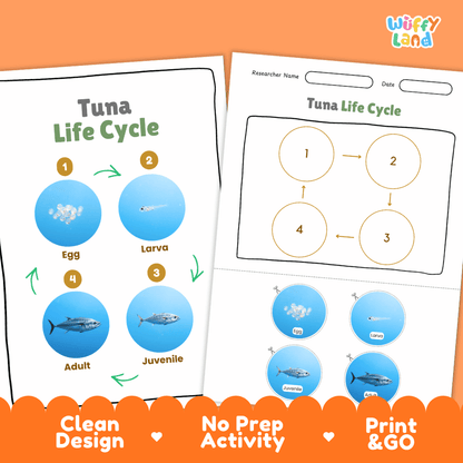 Tuna Life Cycle Poster and Cut and Paste Activity Worksheet
