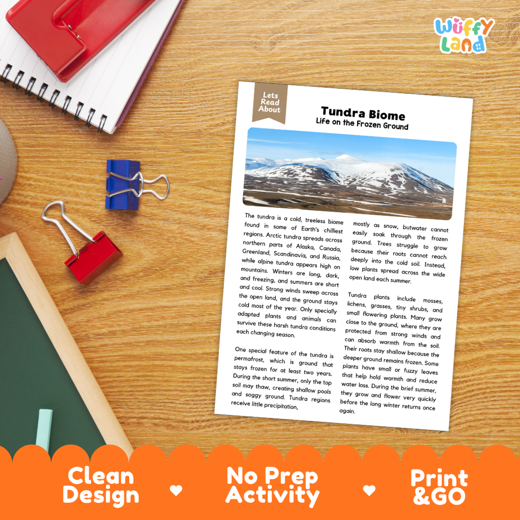 Student reading comprehension worksheet with short-answer questions and lined sections about the tundra biome