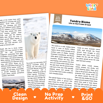 Teacher answer key page showing complete question solutions for Tundra Biome Earth science and biology reading comprehension practice