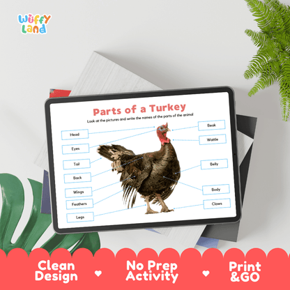 Hands-on turkey anatomy cut and paste worksheet with printable word tags, pointer lines, and scissors graphic