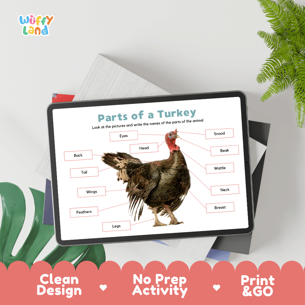 Hands-on turkey anatomy cut and paste worksheet with printable word tags, callout pointer lines, and scissors graphic