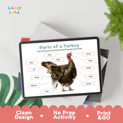 Hands-on turkey anatomy cut and paste worksheet with printable word tags, callout pointer lines, and scissors graphic