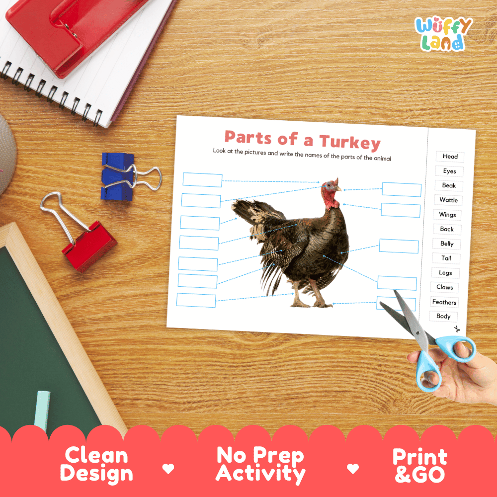 Differentiated turkey body parts labeling worksheets featuring fill-in write-in boxes and vocabulary word bank