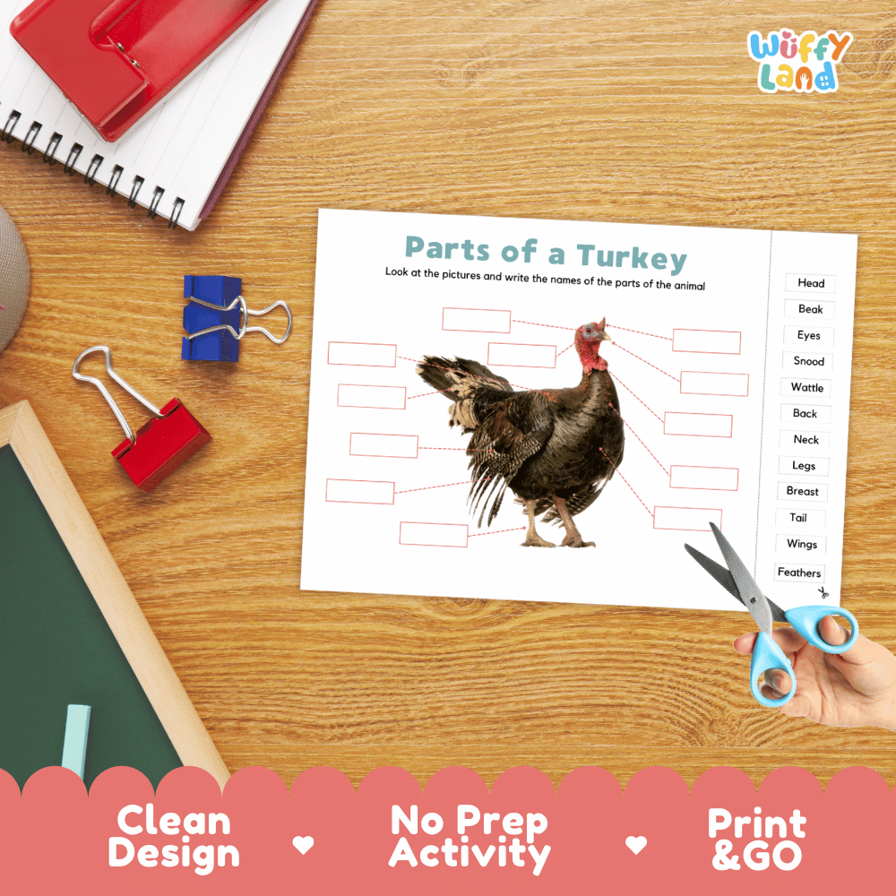 Differentiated turkey body parts labeling worksheets featuring fill-in write-in boxes and vocabulary word bank