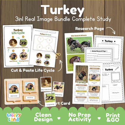 Turkey 3-in-1 real image bundle complete study cover showing cut and paste life cycle, 3 part cards, and research pages