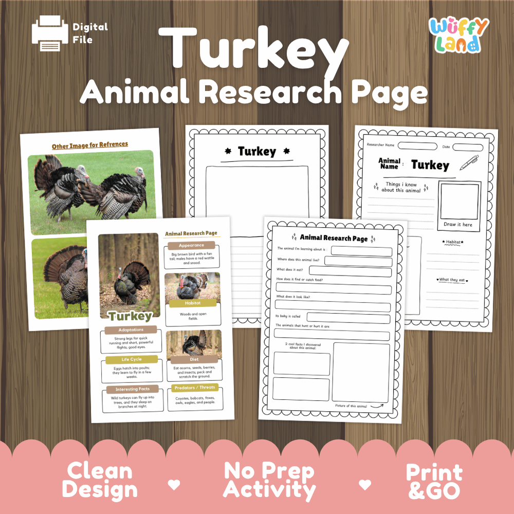 Turkey Animal Research Page printable activity sheet set by Wiffy Land, displayed on a wood-grain background with promotional text at the bottom.