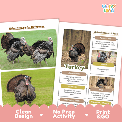 Two printed turkey educational activity sheets shown on a pink background with decorative labels reading 'Other Image for References,' 'Animal Research Page,' and 'Clean Design / No Prep Activity / Print & GO.' The sheets contain turkey photos, text boxes, and a small 'Wiffy Land' logo in the top right.