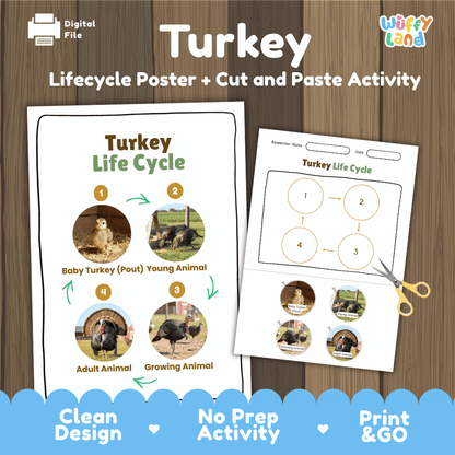 Turkey Life Cycle Poster and Cut and Paste Activity Worksheets