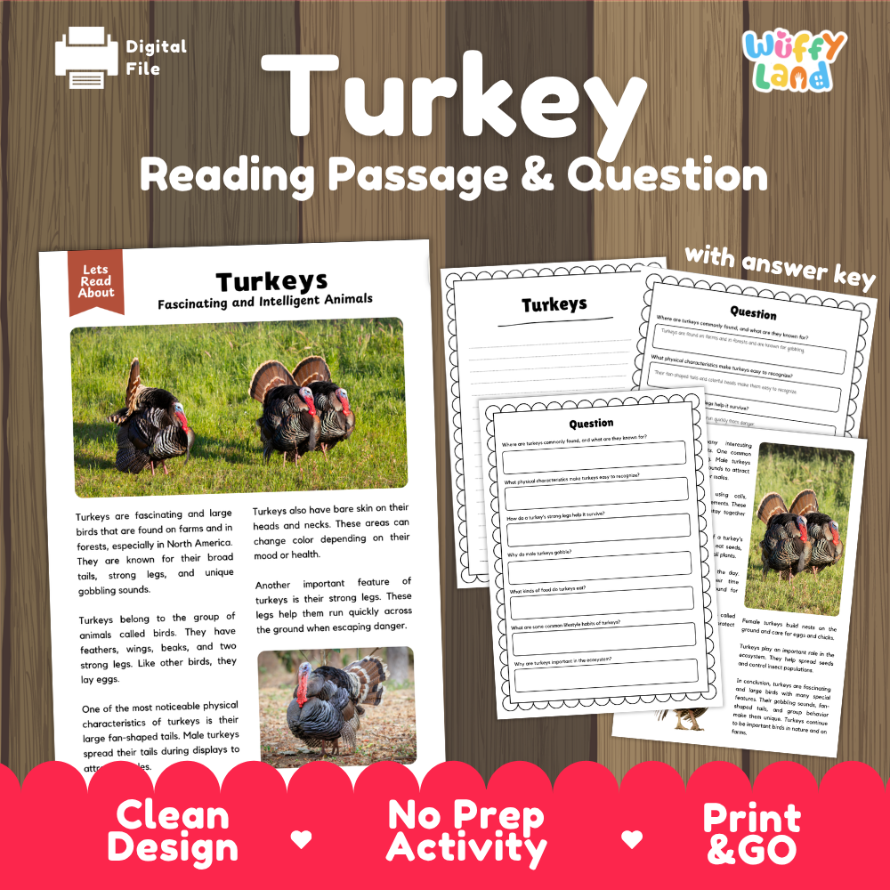 Turkey Reading Passage and Comprehension Questions Worksheets with Answer Key