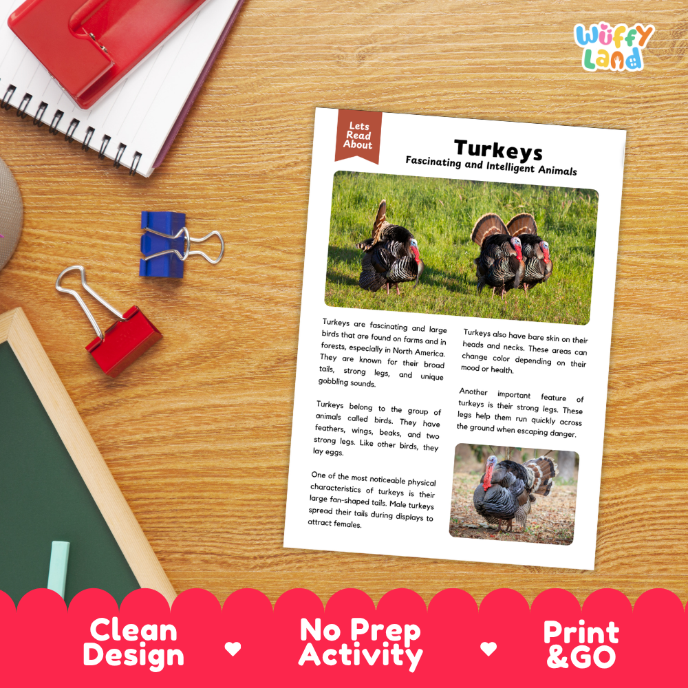 Turkey Reading Passage and Comprehension Questions Worksheets with Answer Key