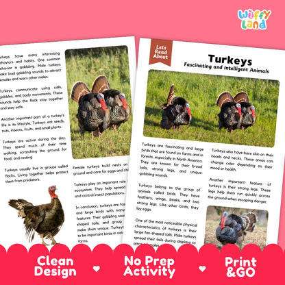 An educational activity sheet titled 'Let's Find Out: About Turkeys' from 'Let's Learn About Anything Land', featuring a color-coded text layout, a large photo of a turkey, and a smaller inset photo. The sheet is presented on a white background with a red banner at the bottom that reads 'Clean Design', 'No Prep Activity', and 'Print & GO'.