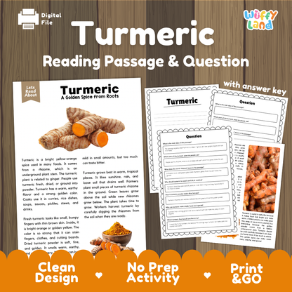 Turmeric reading comprehension passage and questions printable activity pack with answer key for elementary students