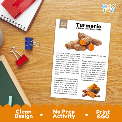 Student reading comprehension worksheet with short-answer questions and lined sections about turmeric rhizome plants
