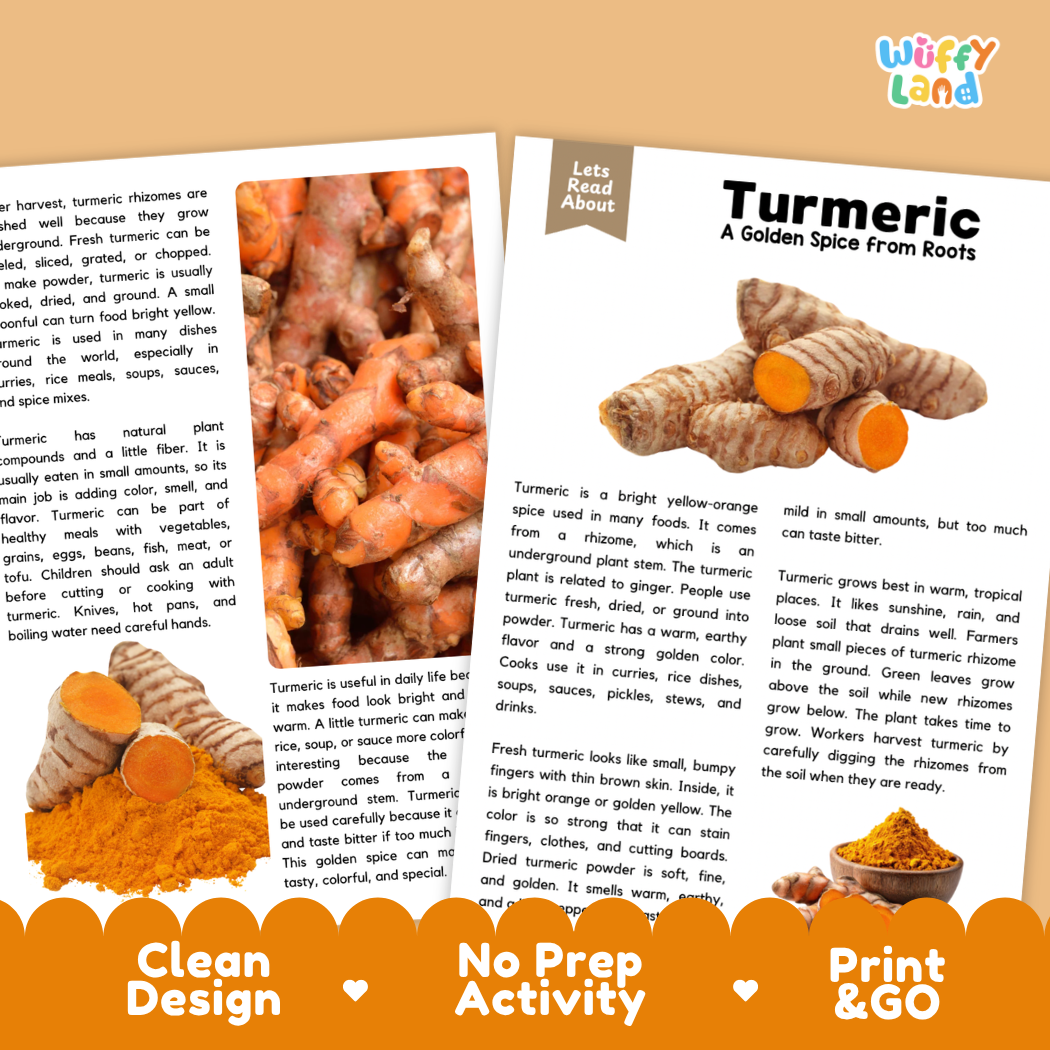 Teacher answer key page showing complete question solutions for turmeric reading comprehension practice