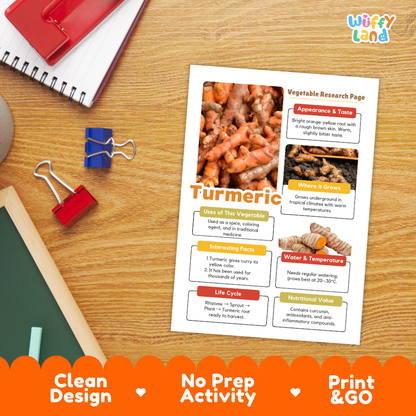 Turmeric Vegetable Research Project Worksheets and Fact Sheet