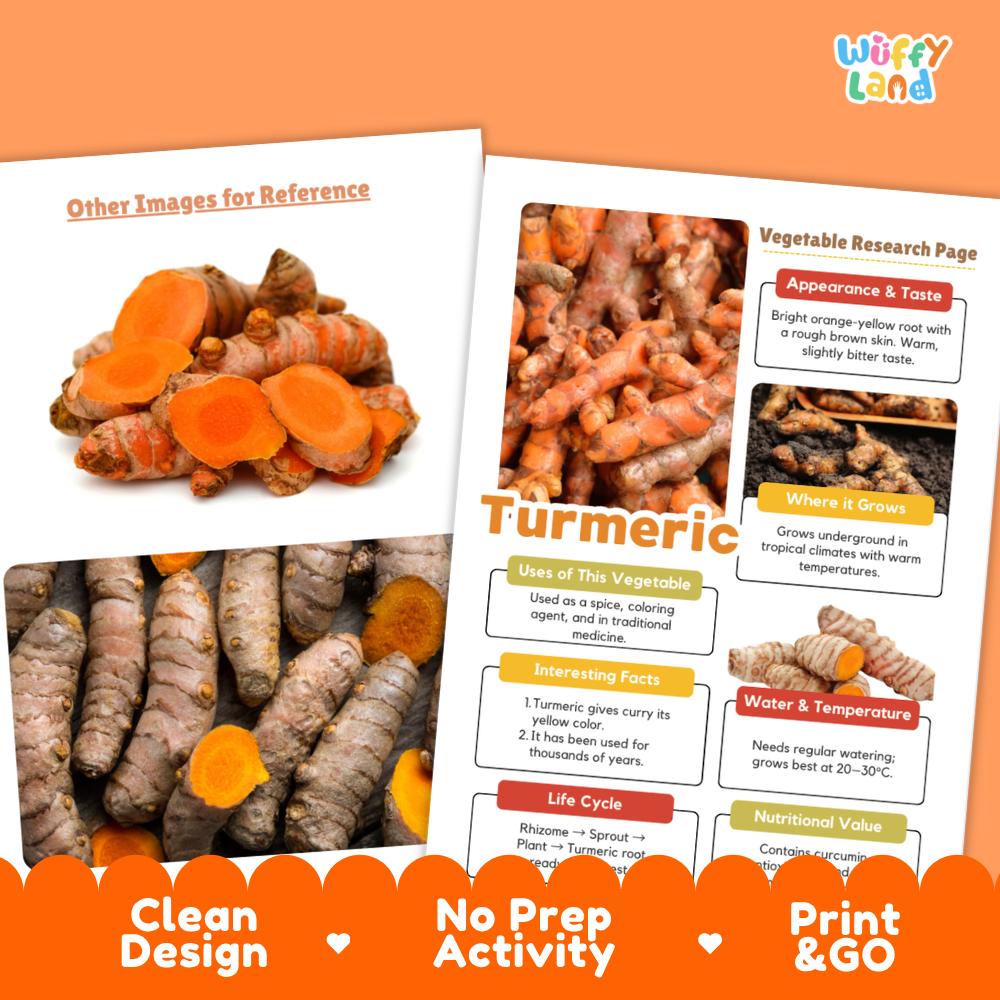 Turmeric Vegetable Research Project Worksheets and Fact Sheet