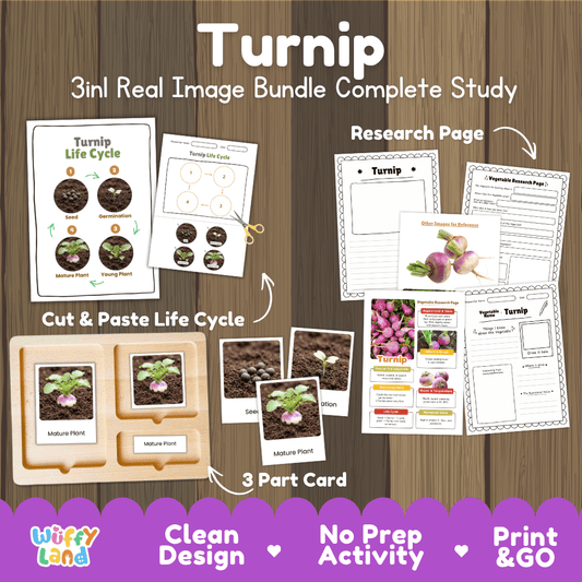 Turnip 3in1 real image bundle complete study printable featuring life cycle cut and paste worksheets, Montessori 3-part cards, and research pages