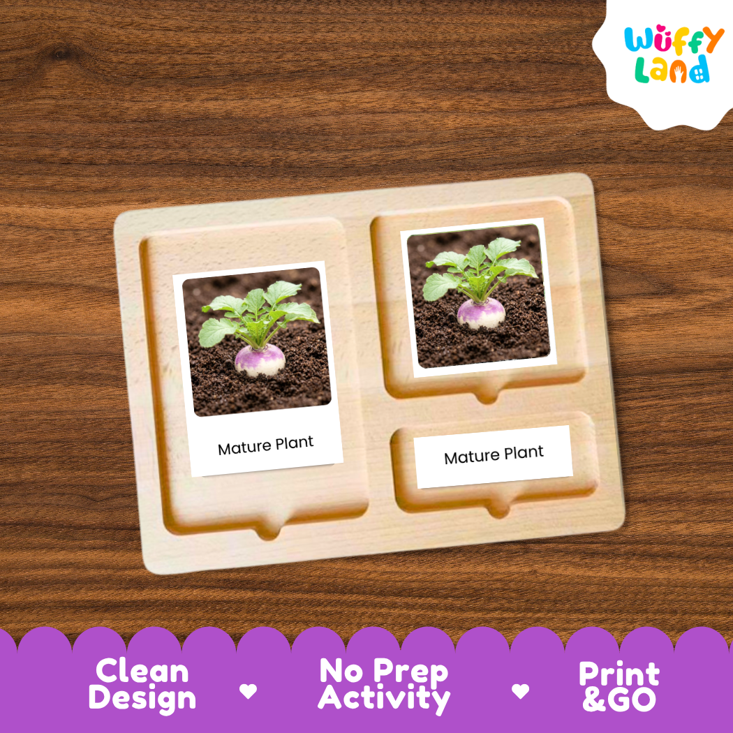A wooden Montessori-style activity tray with two labeled slots reading 'Mature Plant,' shown on a wood-grain background. The tray contains small printed photos of a turnip plant in soil.