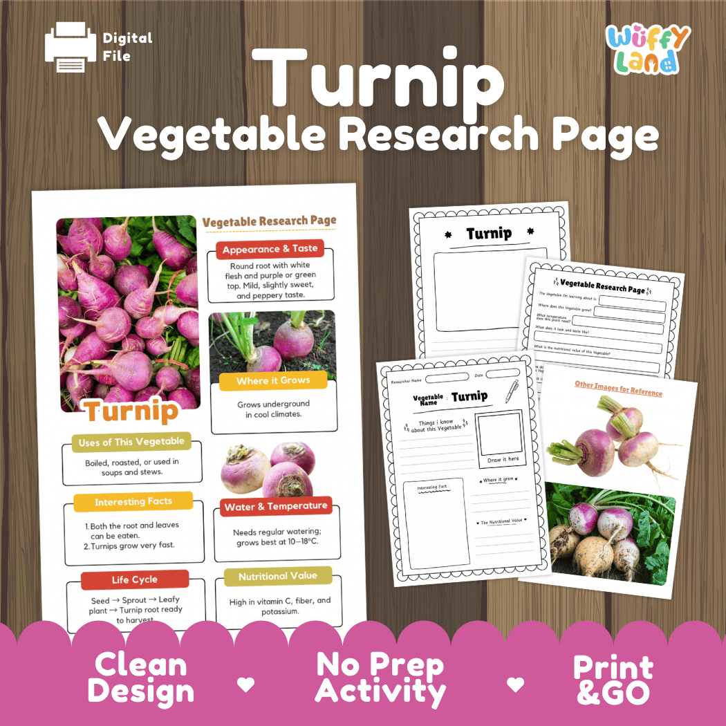 Turnip Vegetable Research Page Science Worksheets and Fact Sheet