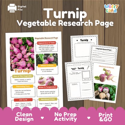 Turnip Vegetable Research Page Science Worksheets and Fact Sheet