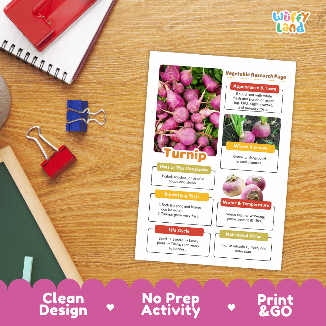 Turnip Vegetable Research Page Science Worksheets and Fact Sheet