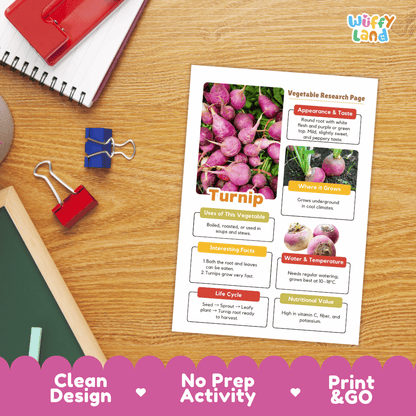Turnip Vegetable Research Page Science Worksheets and Fact Sheet