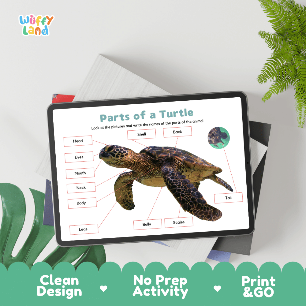 Educational cut and paste turtle anatomy worksheet with printable word cutout tiles for head, shell, scales, claws, and tail