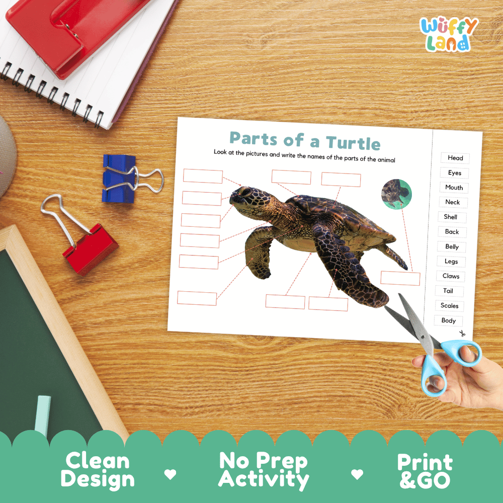 Printable marine reptile anatomy worksheet showing a realistic sea turtle with blank labeling boxes and a vocabulary word bank for writing practice