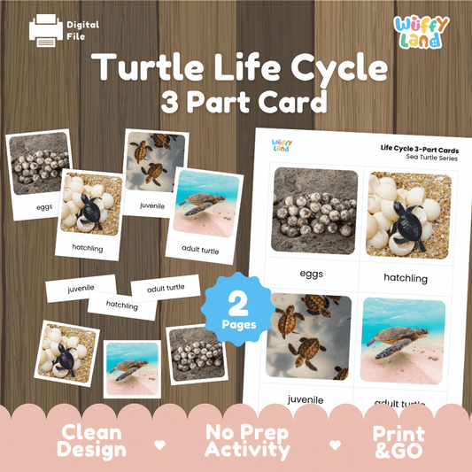 Turtle life cycle 3 part cards printable Montessori biology activity pack overview from Wuffy Land featuring real photography cards 🐢✨