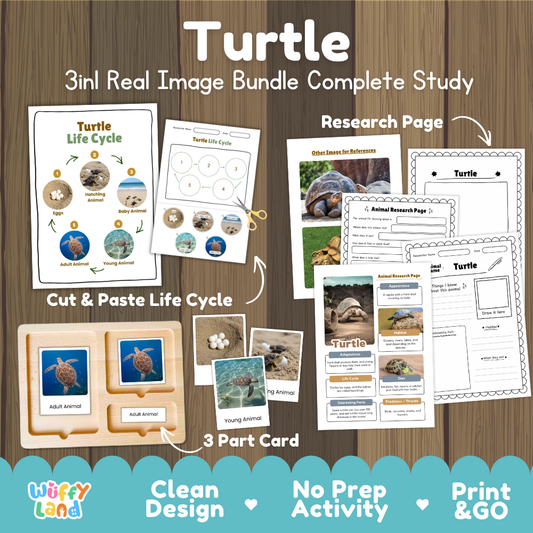 Turtle 3-in-1 real image bundle complete study cover showing cut and paste life cycle, 3 part cards, and research pages