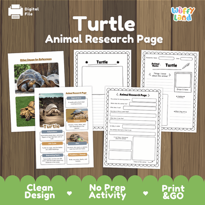 Turtle Animal Research Page Worksheets and Fact Sheet Activity