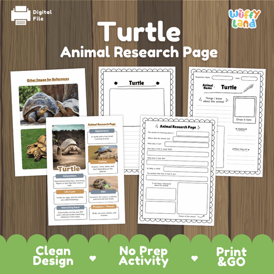 Turtle Animal Research Page Worksheets and Fact Sheet Activity