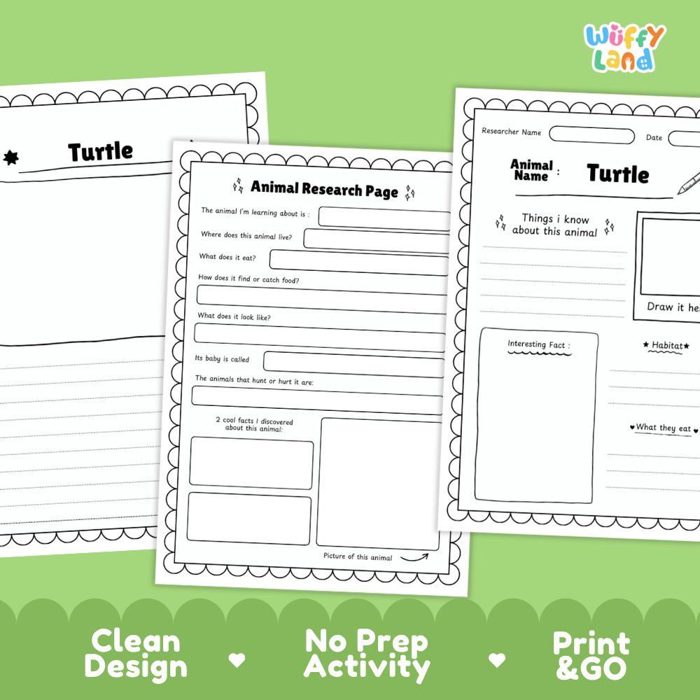 Turtle Animal Research Page Worksheets and Fact Sheet Activity
