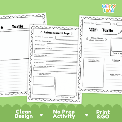 Turtle Animal Research Page Worksheets and Fact Sheet Activity