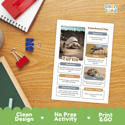 Turtle Animal Research Page Worksheets and Fact Sheet Activity