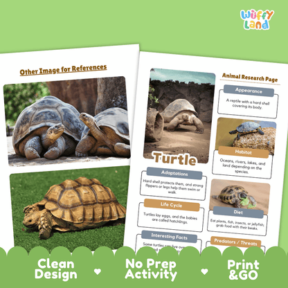 Turtle Animal Research Page Worksheets and Fact Sheet Activity
