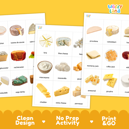 Types of Cheese Flashcards Printable Cards for Early Elementary