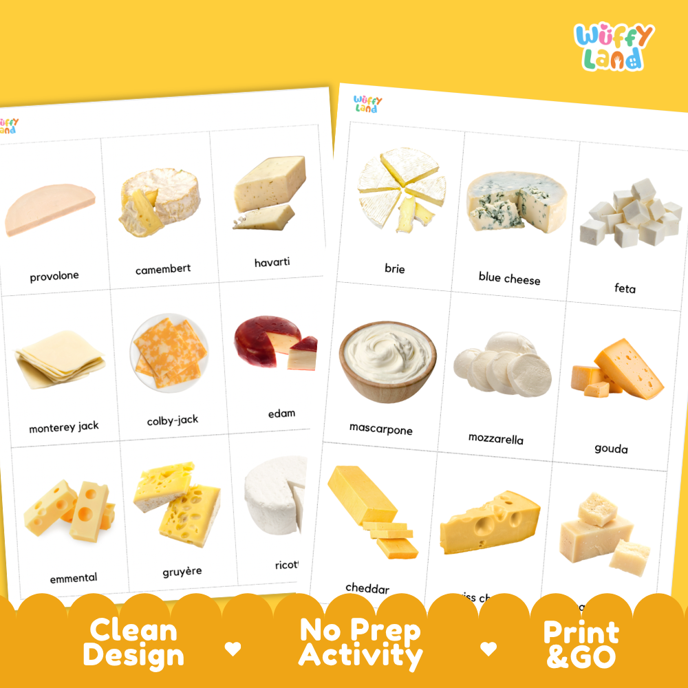 Types of Cheese Flashcards Printable Cards for Early Elementary