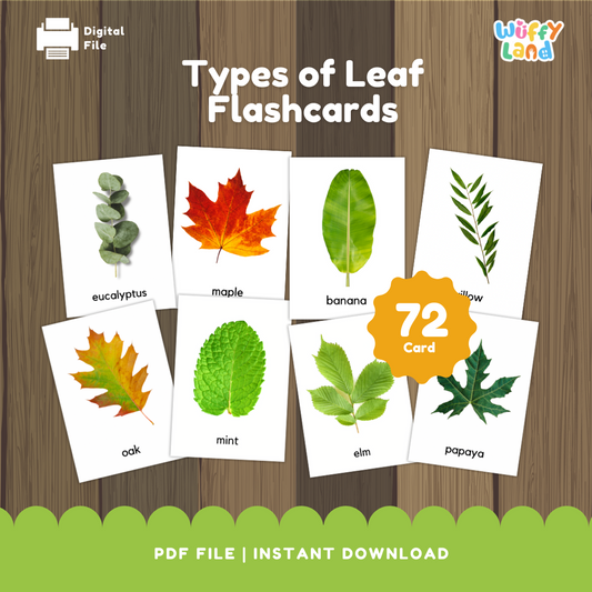 Educational printable set titled “Types of Leaf Flashcards” displayed on a wooden background. The cards feature high-quality images of different leaves such as eucalyptus, maple, banana, willow, oak, mint, elm, and papaya. Each card includes the leaf’s name in lowercase text. A bright orange badge reads “72 Card,” indicating the total number of flashcards included in the set, designed for nature study or classroom science lessons.