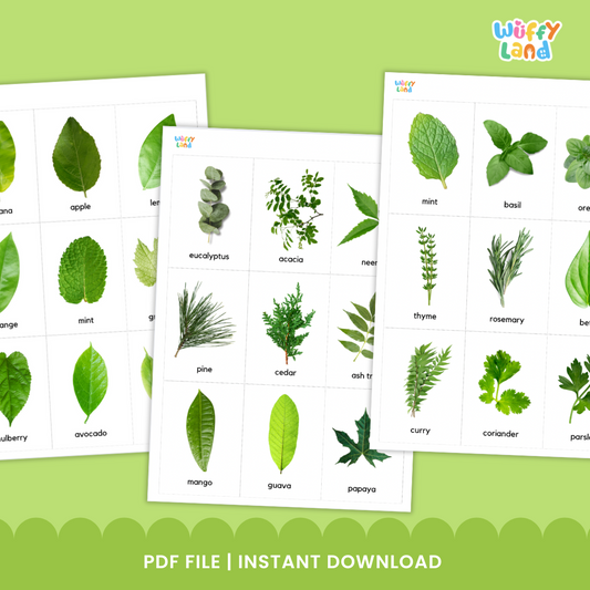 Educational printable set titled “Types of Leaf Flashcards” displayed on a wooden background. The cards feature high-quality images of different leaves such as eucalyptus, maple, banana, willow, oak, mint, elm, and papaya. Each card includes the leaf’s name in lowercase text. A bright orange badge reads “72 Card,” indicating the total number of flashcards included in the set, designed for nature study or classroom science lessons.