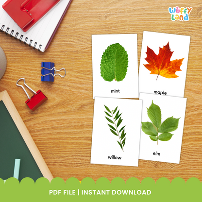 Educational printable set titled “Types of Leaf Flashcards” displayed on a wooden background. The cards feature high-quality images of different leaves such as eucalyptus, maple, banana, willow, oak, mint, elm, and papaya. Each card includes the leaf’s name in lowercase text. A bright orange badge reads “72 Card,” indicating the total number of flashcards included in the set, designed for nature study or classroom science lessons.
