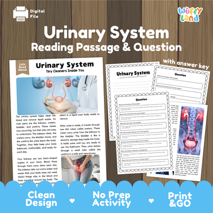 Urinary system reading comprehension passage and questions printable activity pack with answer key for elementary students