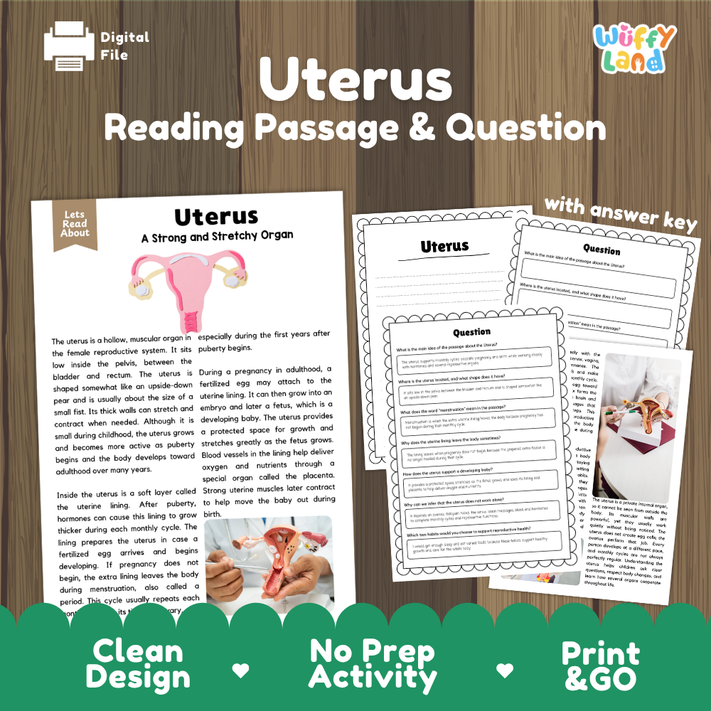 Uterus reading comprehension passage and questions printable activity pack with answer key for elementary students