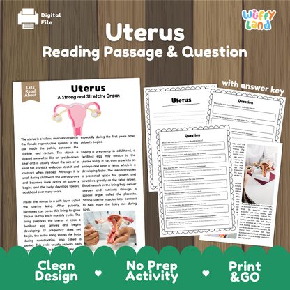 Uterus reading comprehension passage and questions printable activity pack with answer key for elementary students