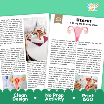 Teacher answer key page showing complete question solutions for Uterus human body reading comprehension practice
