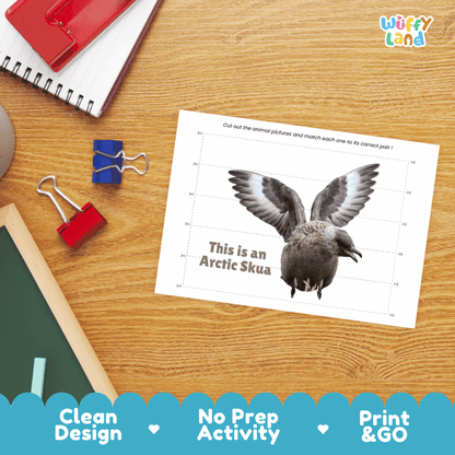 Arctic Skua Cut and Match Puzzle Activity Worksheets