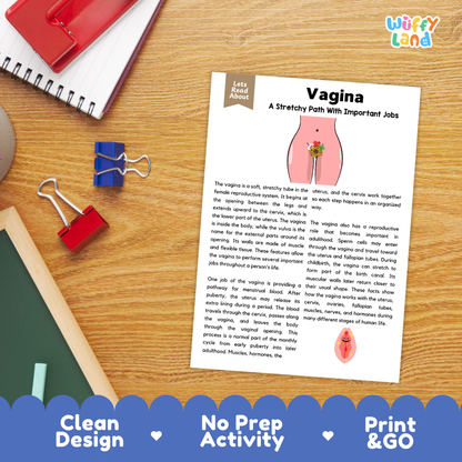 Student reading comprehension worksheet with short-answer questions and lined sections about the human vagina