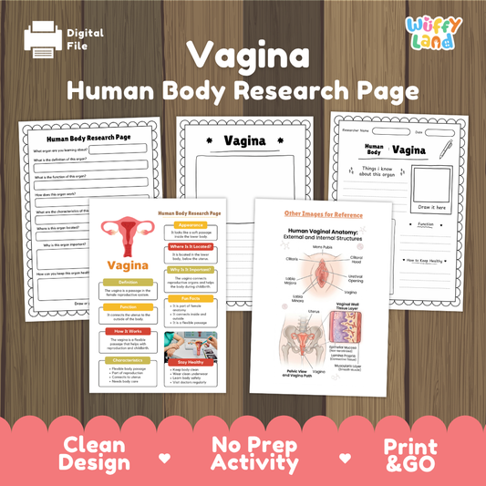 Vagina Human Body Research Page Worksheets and Reference Sheets